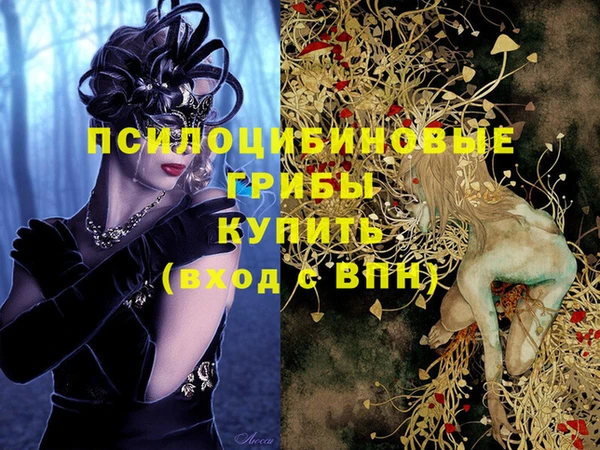 герыч Майский