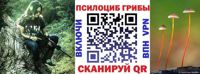 купить закладку Заволжск Галлюциногенные грибы Magic Shrooms